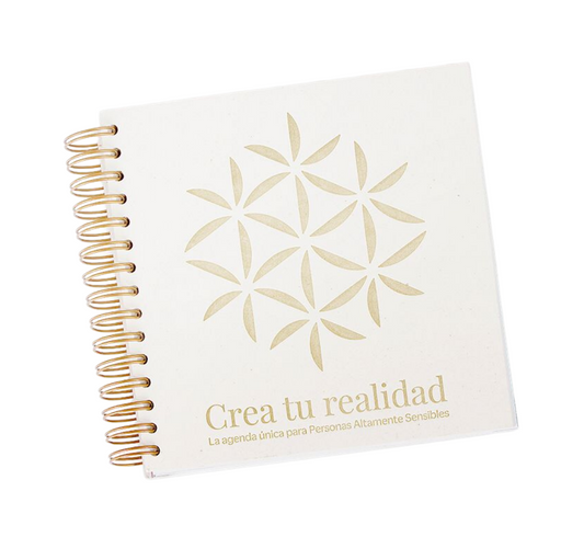 Agenda Orignia 2025 Para Organizar Tu Año Efectivamente